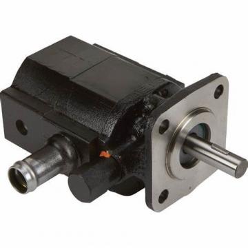 Hydraulic Gear Pump 705-52-22000